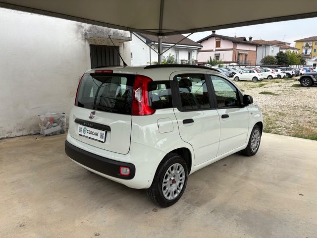 Fiat Panda 1.2 Easy EURO 6 5 POSTI OK NEOPATENTATI - foto 4 di 4