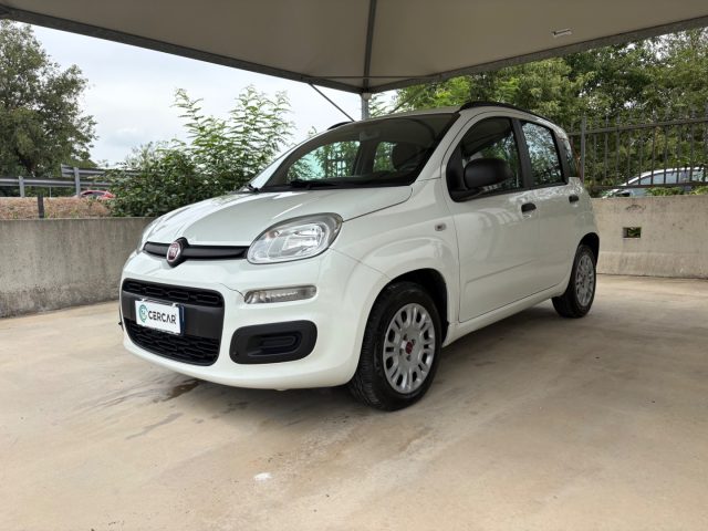 Fiat Panda 1.2 Easy EURO 6 5 POSTI OK NEOPATENTATI usato a PAVIA