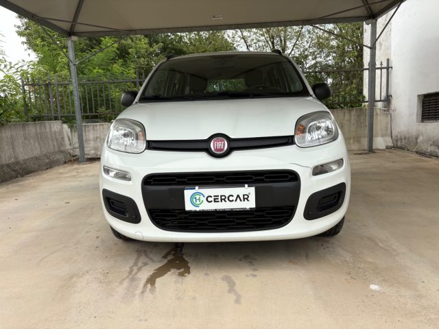 Fiat Panda 1.2 Easy EURO 6 5 POSTI OK NEOPATENTATI - foto 2 di 4