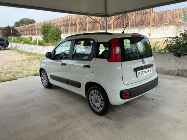 Fiat Panda 1.2 Easy EURO 5 BENZ OK NEOPATENTATI PRONTA CONS. - foto 4 di 4