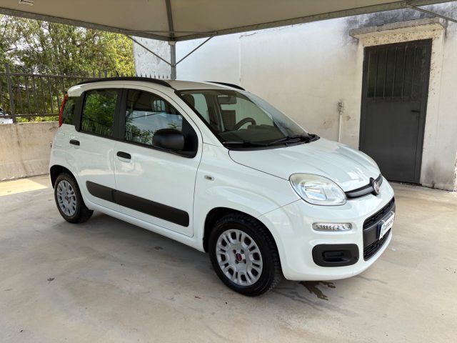 Fiat Panda 1.2 Easy EURO 5 BENZ OK NEOPATENTATI PRONTA CONS. - foto 3 di 4