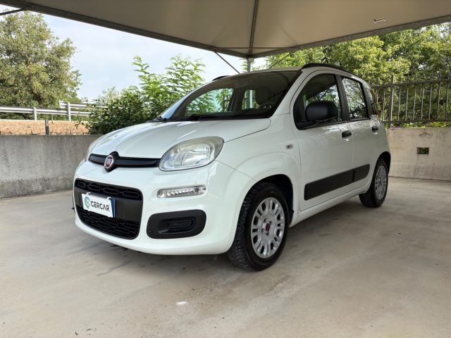 Fiat Panda 1.2 Easy EURO 5 BENZ OK NEOPATENTATI PRONTA CONS. usato a PAVIA