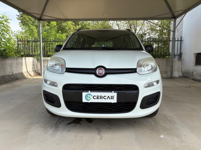 Fiat Panda 1.2 Easy EURO 5 BENZ OK NEOPATENTATI PRONTA CONS. - foto 2 di 4