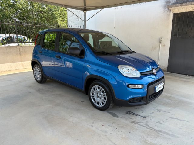 Fiat Pandina 1.0 FireFly 70 CV Hybrid Icon COME NUOVA OK NEOP - foto 3 di 4