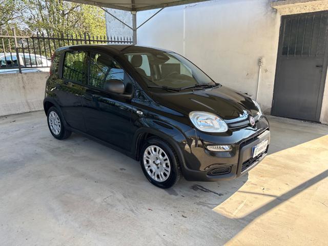Fiat Panda 1.0 FireFly S&S Hybrid COME NUOVA PRONTA CONSEGNA - foto 3 di 4