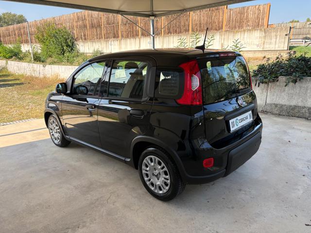 Fiat Panda 1.0 FireFly S&S Hybrid COME NUOVA PRONTA CONSEGNA - foto 4 di 4