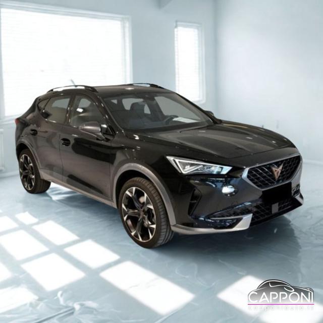 CUPRA Formentor 2.0 TDI 4Drive DSG usato a SANT ANGELO IN VADO
