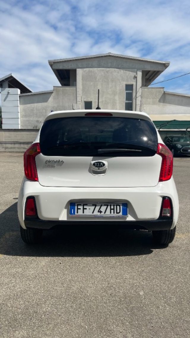 Kia Picanto 1.0 12V EcoGPL 5 porte Glam Collection - foto 4 di 4