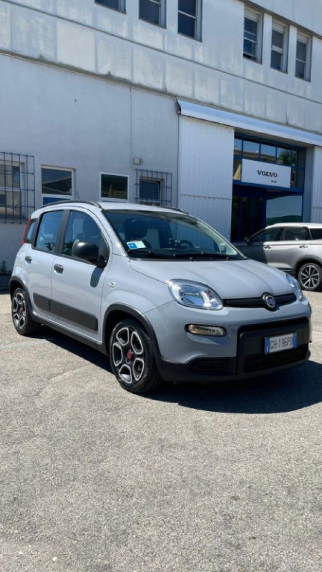 Fiat Panda 1.0 FireFly S&S Hybrid City Life usato a NOVARA