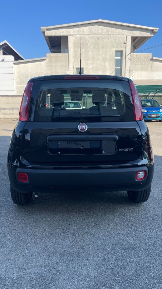 Fiat Pandina 1.0 FireFly 65 CV Hybrid Pop - foto 4 di 4