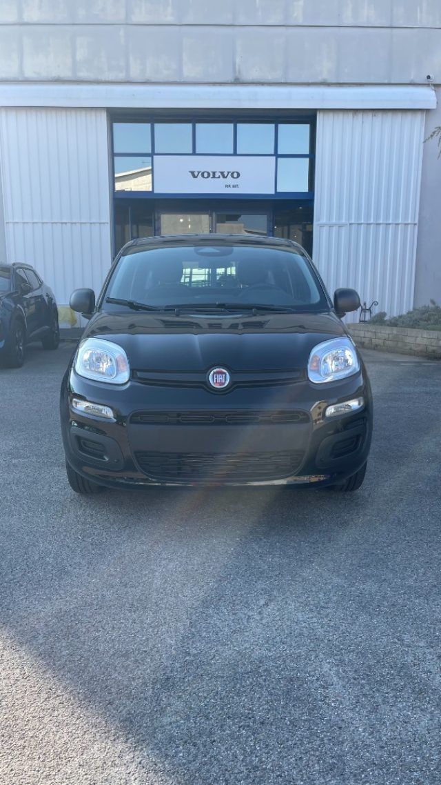 Fiat Pandina 1.0 FireFly 65 CV Hybrid Pop - foto 2 di 4