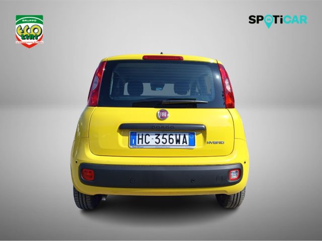Fiat Panda 1.0 FireFly S&S Hybrid Pop, del 2026, 1 km, in vendita a San Giorgio A Liri (FR)