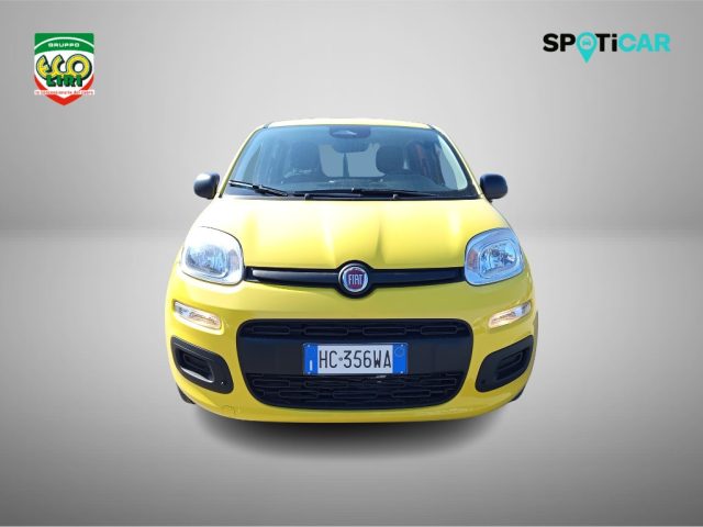 Fiat Panda 1.0 FireFly S&S Hybrid Pop km 0 a SAN GIORGIO A LIRI