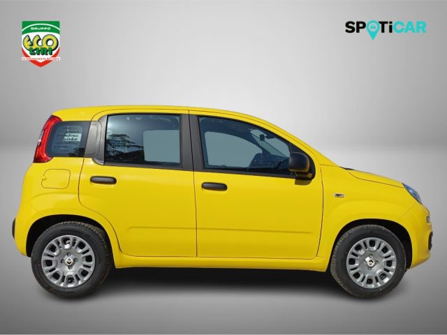 Fiat Panda 1.0 FireFly S&S Hybrid Pop - foto 4 di 23