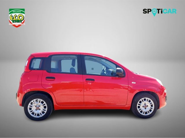 Fiat Panda 1.0 FireFly S&S Hybrid - foto 4 di 4