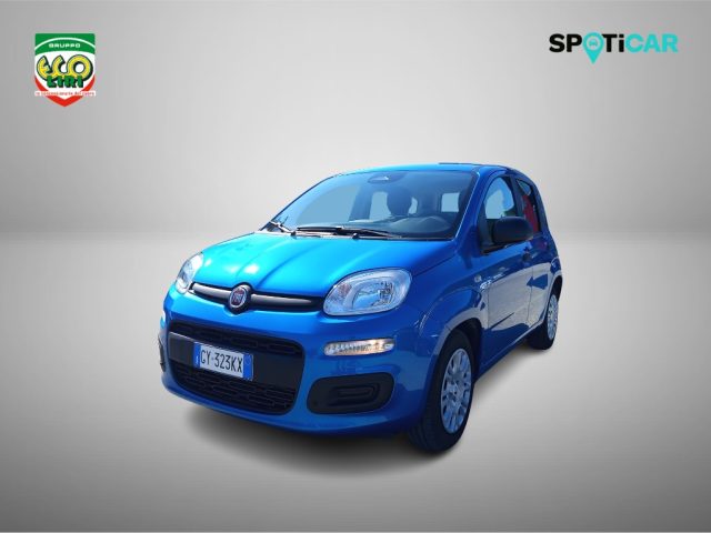 Fiat Panda 1.0 FireFly S&S Hybrid usato a SAN GIORGIO A LIRI