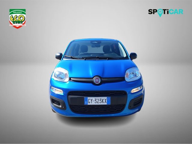 Fiat Panda 1.0 FireFly S&S Hybrid - foto 2 di 4