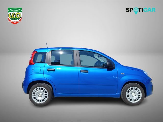 Fiat Panda 1.0 FireFly S&S Hybrid - foto 4 di 4