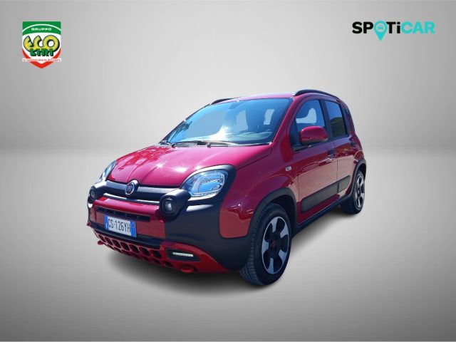 Fiat Panda Cross 1.0 FireFly S&S Hybrid usato a SAN GIORGIO A LIRI