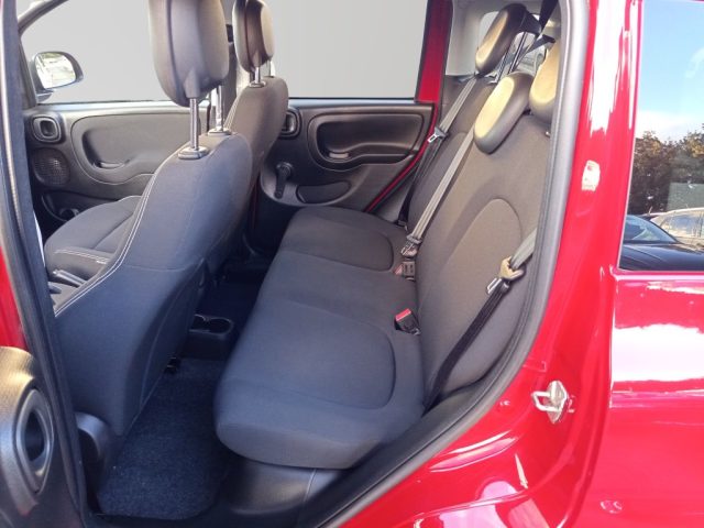 Fiat Panda Cross 1.0 FireFly S&S Hybrid usato a SAN GIORGIO A LIRI