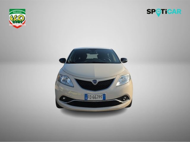 Lancia Ypsilon 1.3 MJT 16V 95 CV 5 porte S&S Platinum - foto 2 di 4