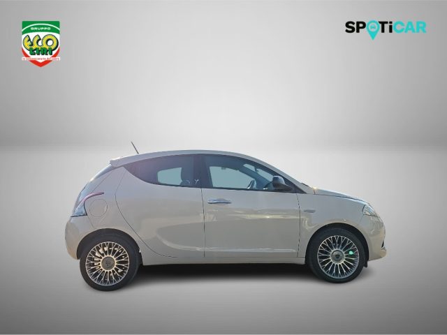 Lancia Ypsilon 1.3 MJT 16V 95 CV 5 porte S&S Platinum - foto 4 di 4