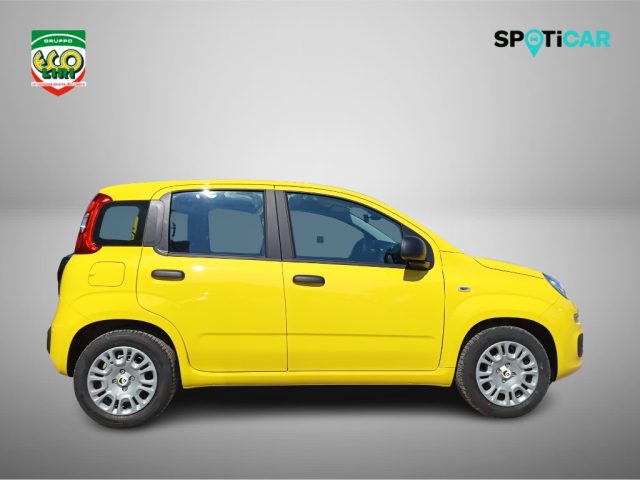 Fiat Pandina 1.0 65cv Hybrid Pop+GPL - foto 4 di 4