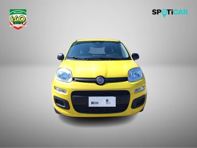 Fiat Pandina 1.0 65cv Hybrid Pop+GPL - foto 2 di 4