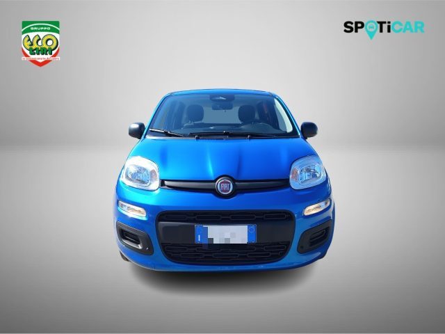 Fiat Panda 1.0 FireFly S&S Hybrid+GPL - foto 2 di 4