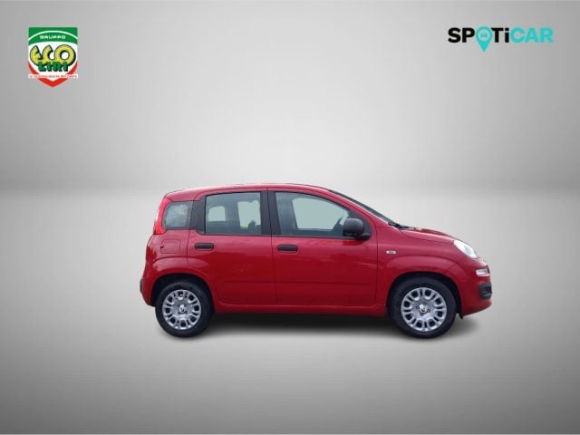 Fiat Panda 1.0 FireFly S&S Hybrid+GPL - foto 4 di 4