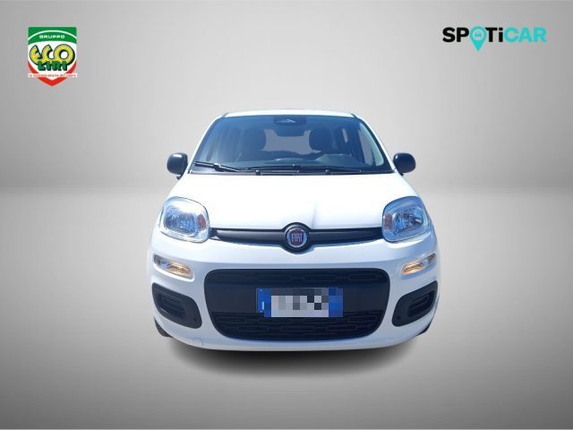 Fiat Pandina 1.0 65 CV Hybrid Icon+GPL - foto 2 di 4