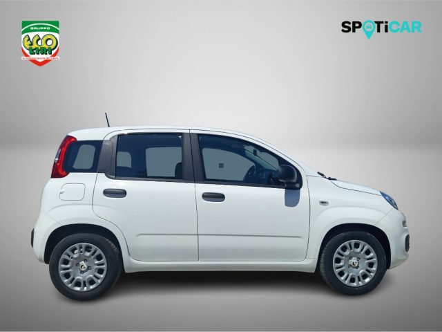 Fiat Pandina 1.0 65 CV Hybrid Icon+GPL - foto 4 di 4