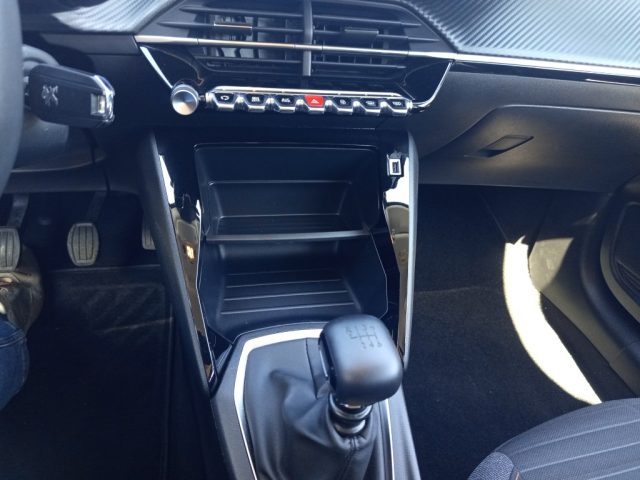 Peugeot 208 BlueHDi 100 Stop&Start 5 porte Active Pack usato a SAN GIORGIO A LIRI