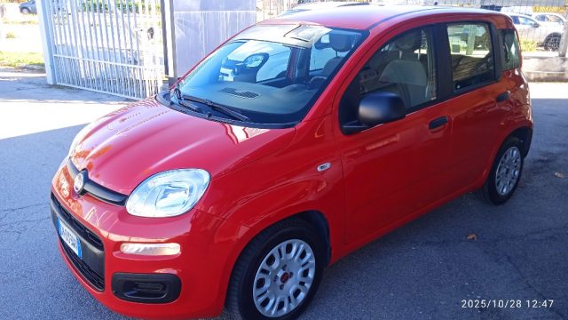 Fiat Panda 1.0 FireFly S&S Hybrid usato a SAN GIORGIO A LIRI