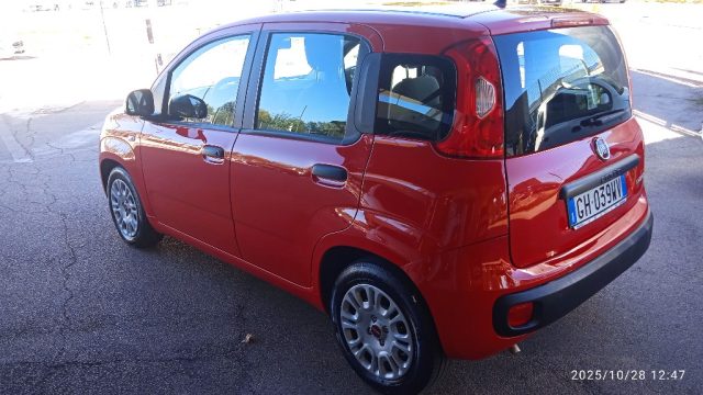 Fiat Panda 1.0 FireFly S&S Hybrid, del 2021, 94.648 km, in vendita a San Giorgio A Liri (FR)