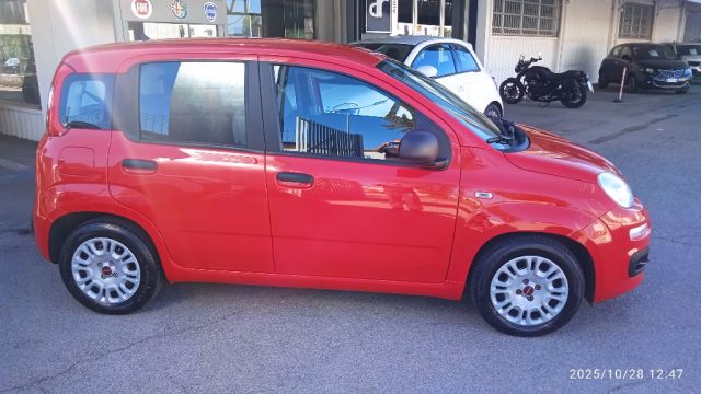 Fiat Panda 1.0 FireFly S&S Hybrid - foto 2 di 4