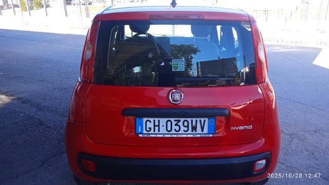 Fiat Panda 1.0 FireFly S&S Hybrid - foto 4 di 4