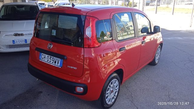 Fiat Panda 1.0 FireFly S&S Hybrid - foto 3 di 4