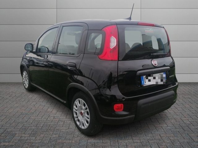 Fiat Panda 1.0 FireFly S&S Hybrid - foto 4 di 4