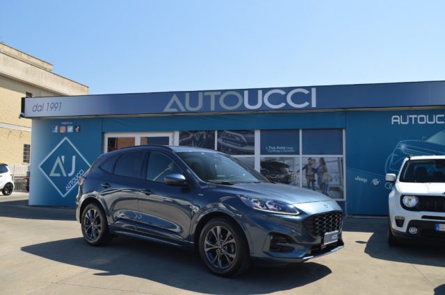 Ford Kuga 1.5 EcoBlue 120 CV aut. 2WD ST-Line X - foto 3 di 4