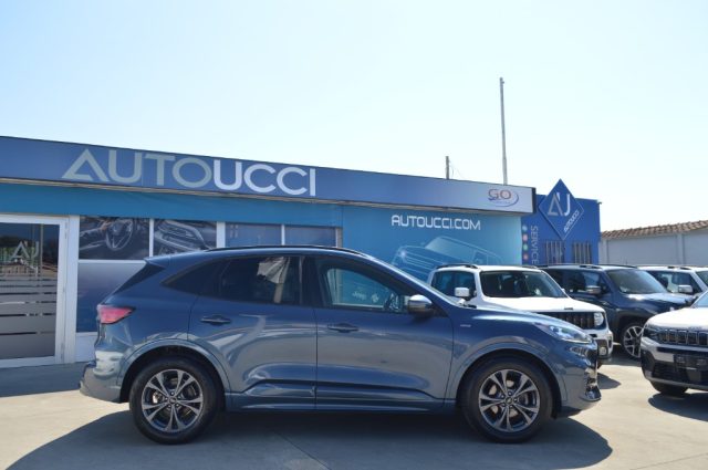 Ford Kuga 1.5 EcoBlue 120 CV aut. 2WD ST-Line X - foto 2 di 4