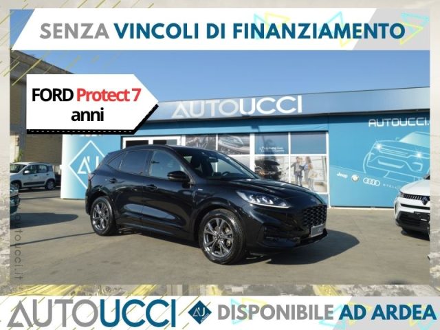 Ford Kuga 1.5 EcoBlue 120 CV 2WD ST-Line usato a ARDEA