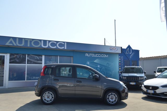 Fiat Panda 1.0 FireFly S&S Hybrid - foto 2 di 4