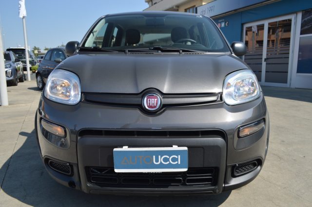 Fiat Panda 1.0 FireFly S&S Hybrid - foto 4 di 4