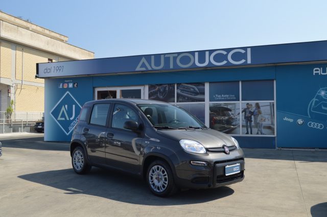 Fiat Panda 1.0 FireFly S&S Hybrid - foto 3 di 4