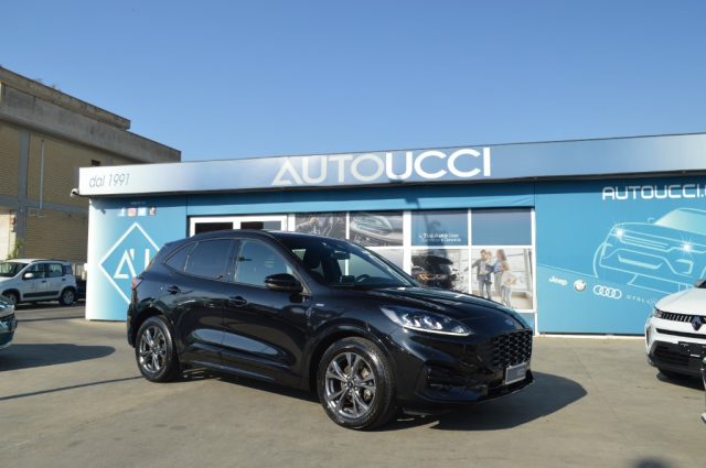 Ford Kuga 1.5 EcoBlue 120 CV ST-Line 2WD Gasolio - foto 3 di 24