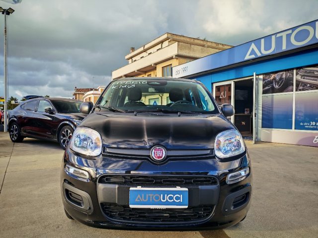 Fiat Pandina 1.0 FireFly 65 CV Hybrid Icon - foto 4 di 4