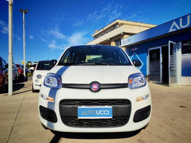 Fiat Panda 1.0 FireFly S&S Hybrid - foto 4 di 4
