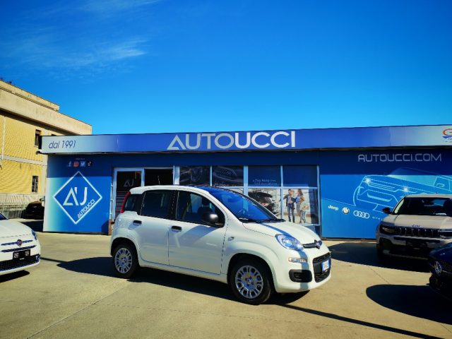 Fiat Panda 1.0 FireFly S&S Hybrid - foto 3 di 4