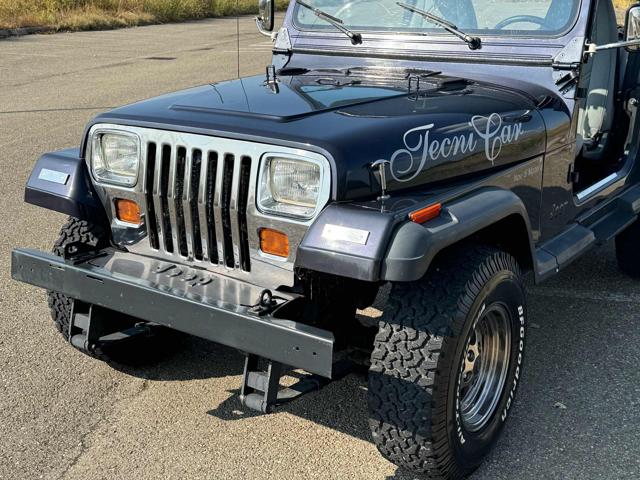 Jeep Wrangler YJ 4.0 Automatik+klima - foto 3 di 4